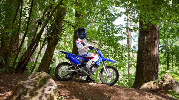 Yamaha TTR 110