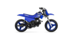 Yamaha PW50